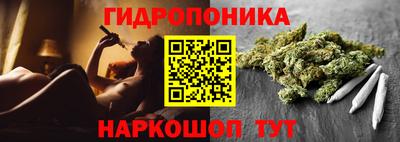 скорость Заволжье