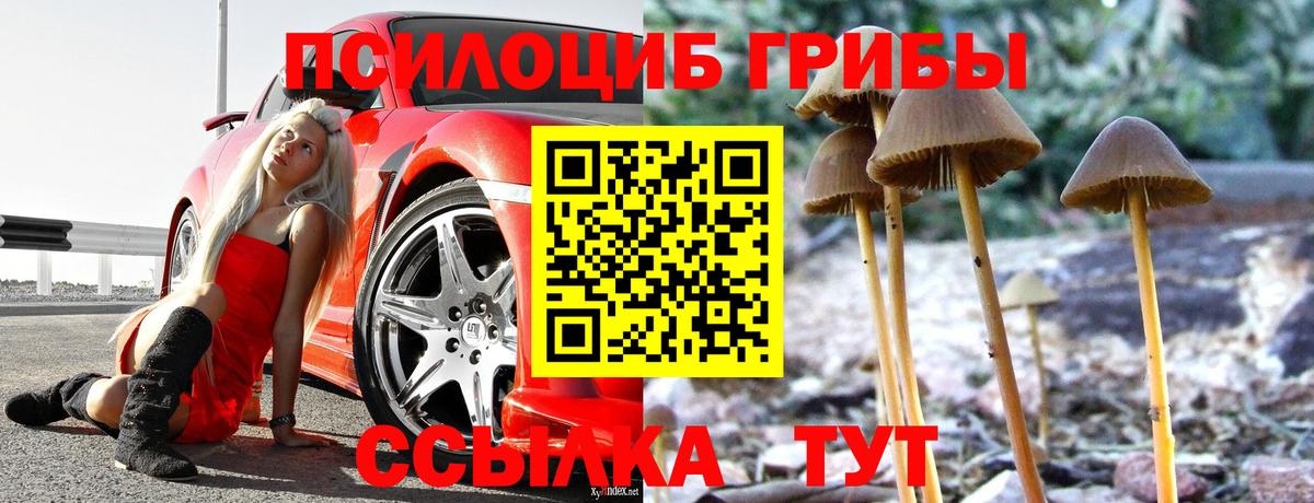 Галлюциногенные грибы Magic Shrooms Майский