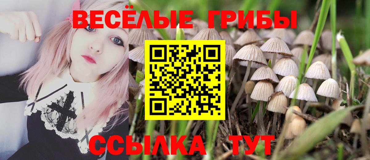 Майский  Галлюциногенные грибы ЛСД  Вход с VPN 